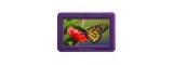 Лицеви панели за TM50 Touch FPLATE  
